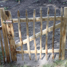 chestnut fence posts