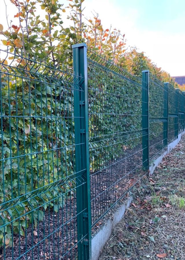 wire mesh cheap fence