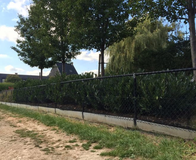 wire mesh fence with top rail